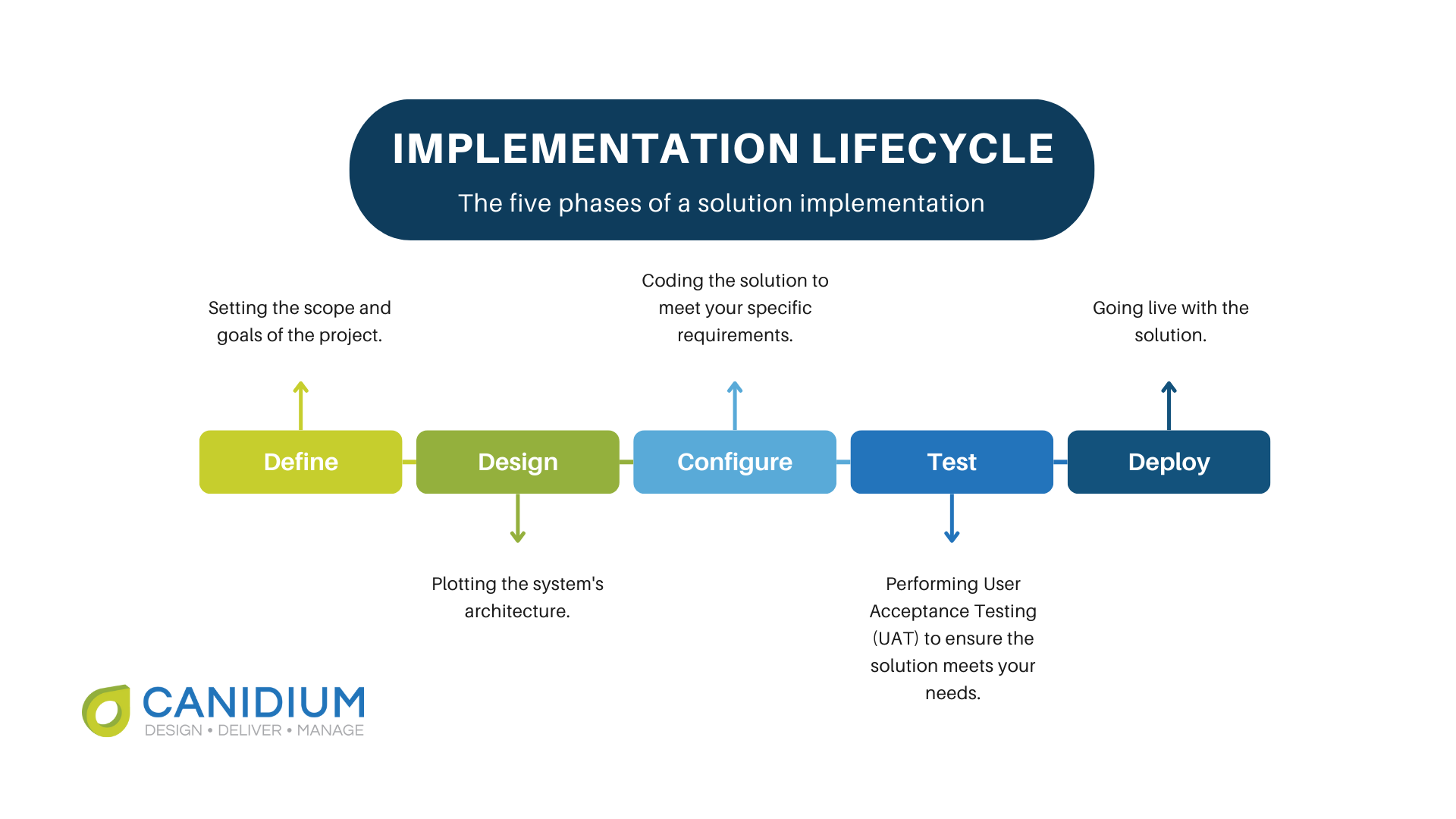 Canidium's implementation phases